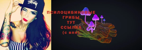 герыч Верхний Тагил