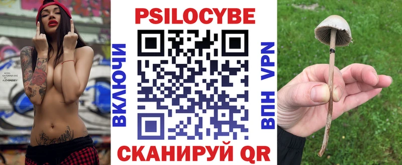 где купить наркоту Воркута Псилоцибиновые грибы Psilocybine cubensis
